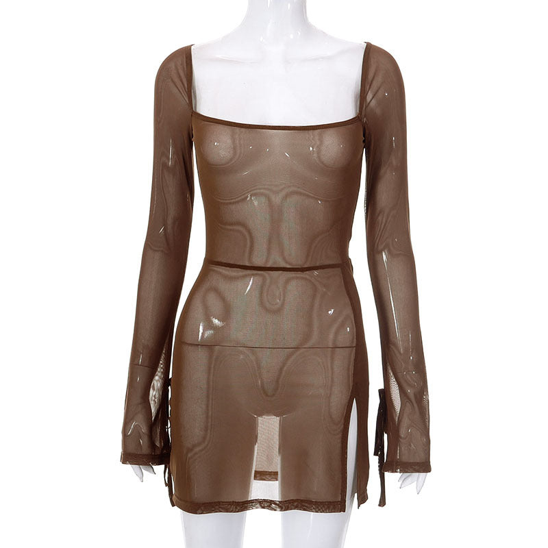 Women's Net Color Mesh Long Sleeve Split Dresses