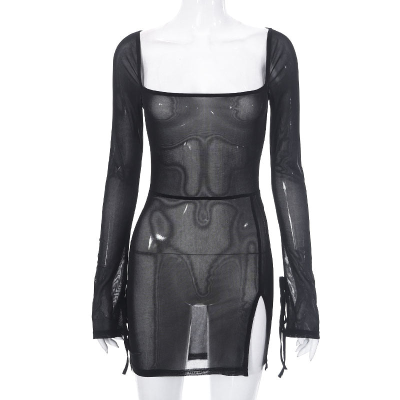 Women's Net Color Mesh Long Sleeve Split Dresses