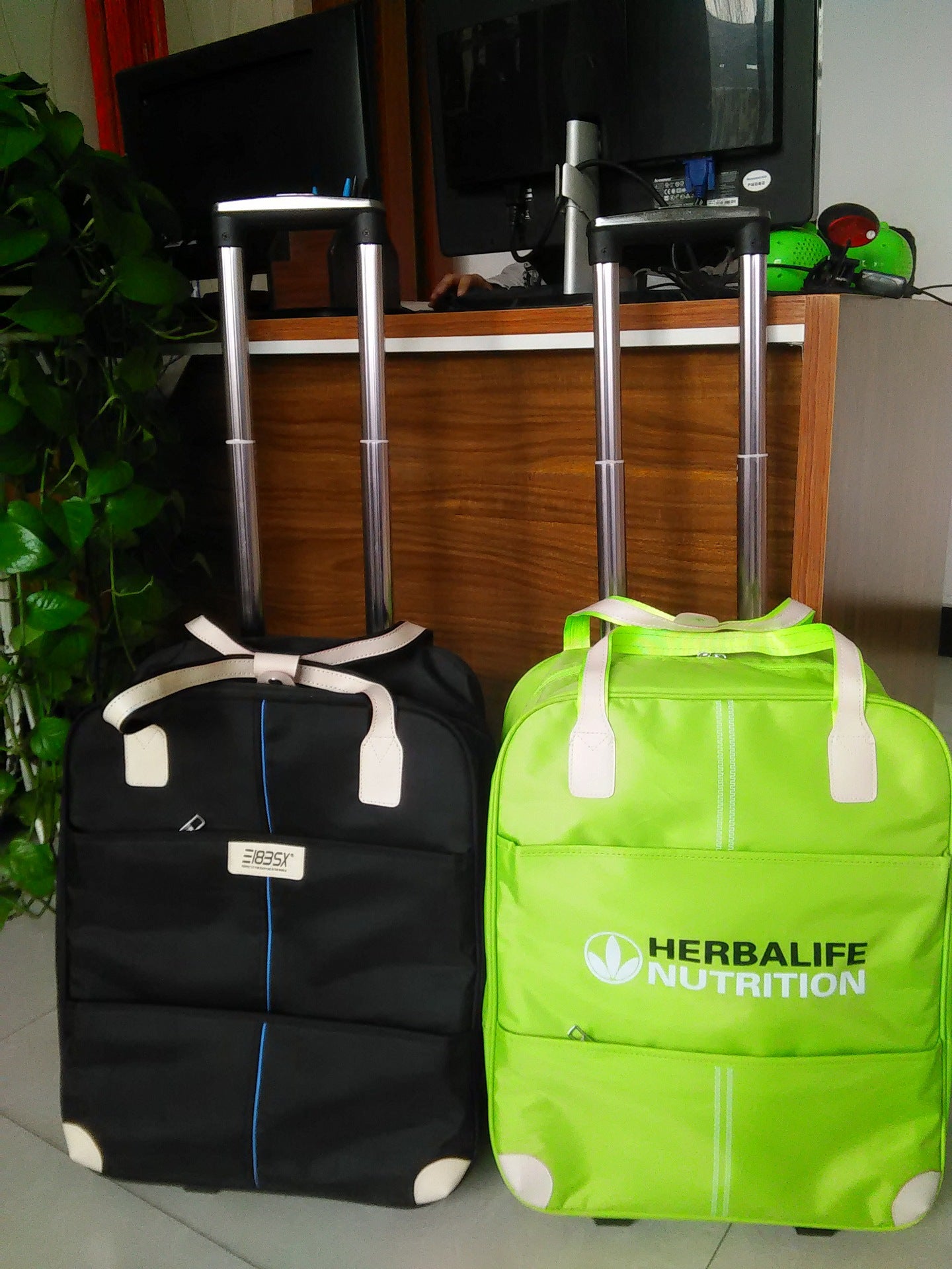 Women's & Men's & Inch Large Capacity Waterproof Canvas Travel Bags