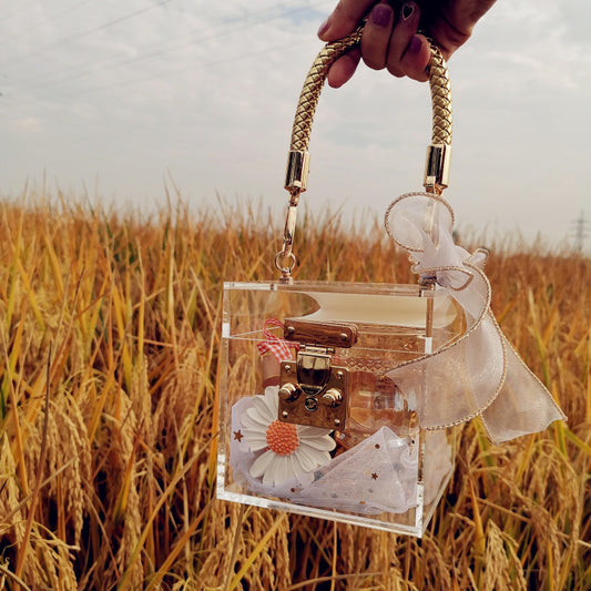 Women's Trendy Acrylic Transparent Bride Gift Box Practical Handbags