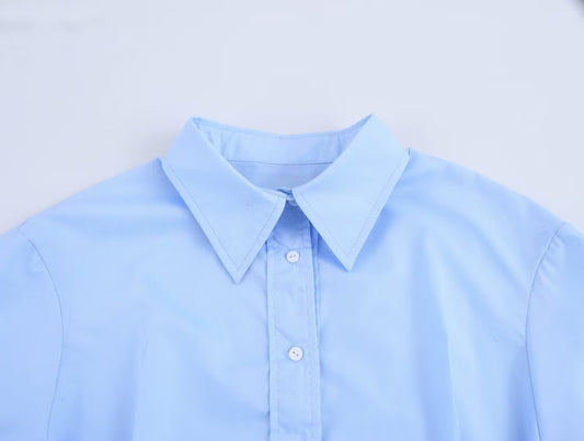 Women's Spring Solid Color Polo Collar Single-breasted Long Blouses